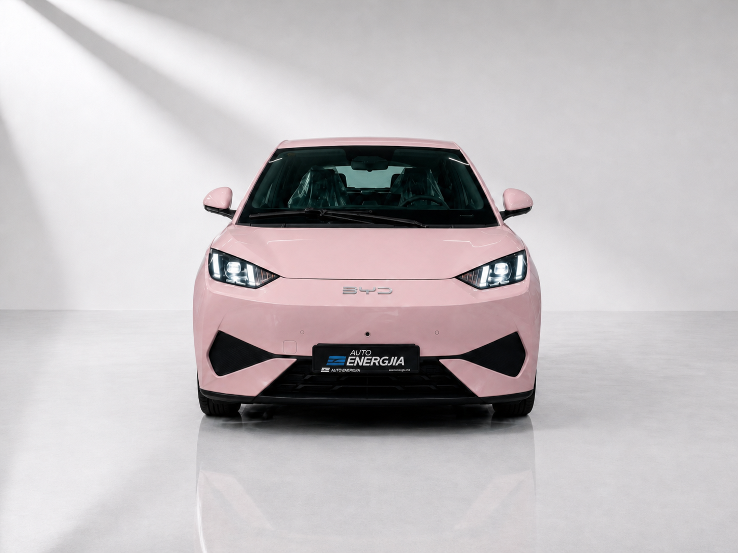 BYD Seagull Flying Version - Pink